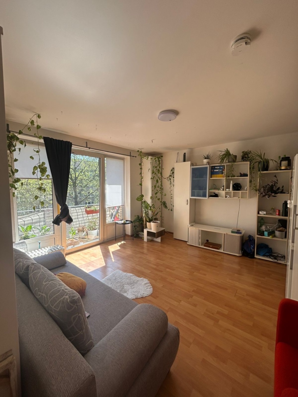 1-Room Apartment in Düsseltal – 40239 Düsseldorf Düsseltal – Vorschaubild 9