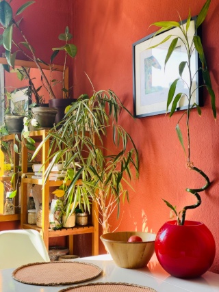 Sunny apartment in Friedrichshain (3 week) — photo 1