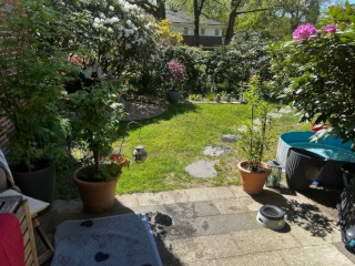 Anzeigenbild: Mitbewohner*In für meine 87qm Wohnung mit Terrasse und Garten im Norden Hamburgs gesucht