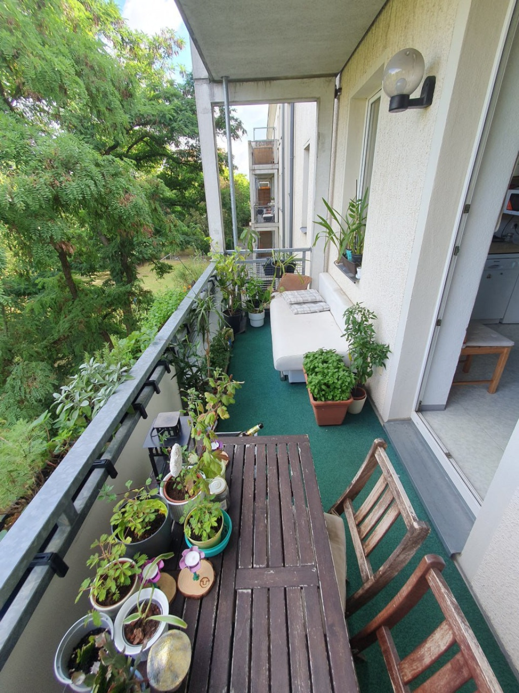 WG-Zimmer Pirnaische Vorstadt Blochmannstr. 11 - Bild 1