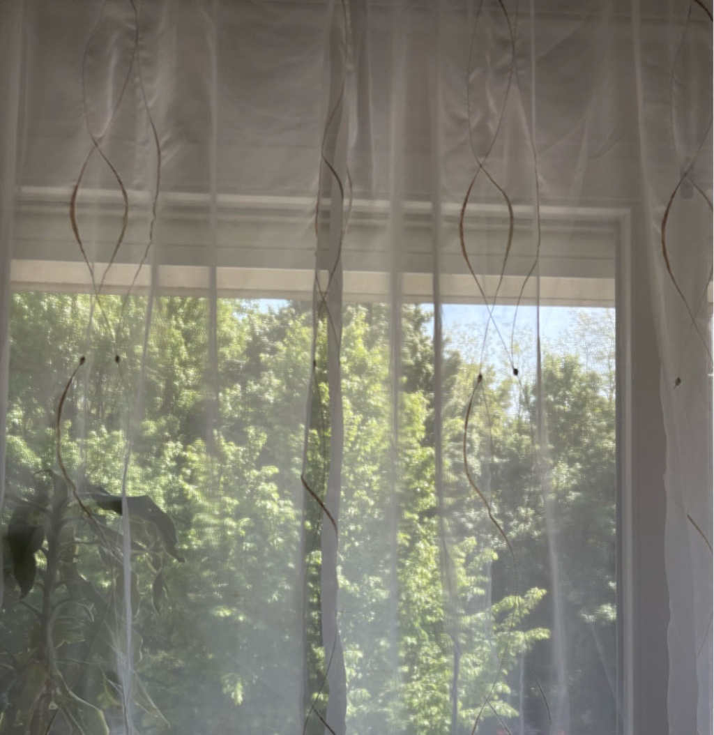 Habitación en WG Rieselfeld rieselfeldallee - viel grüne Umgebung