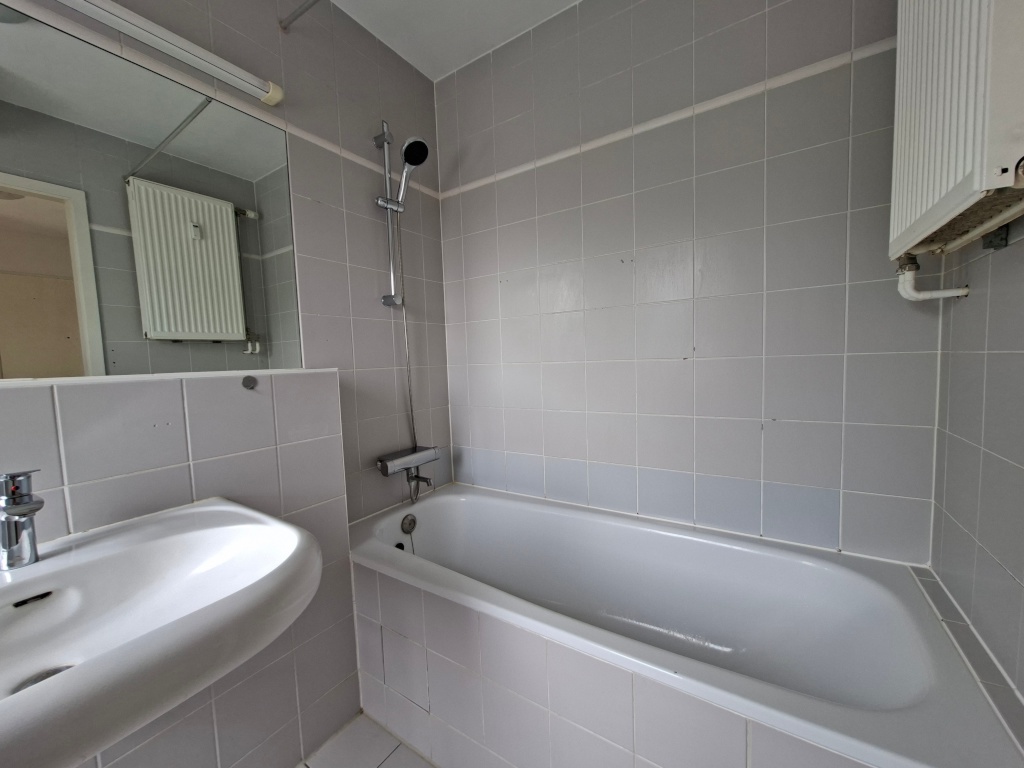 Green Oasis just 20 mins from Center! – Attilastrasse, 12247 Berlin Steglitz – Vorschaubild 11