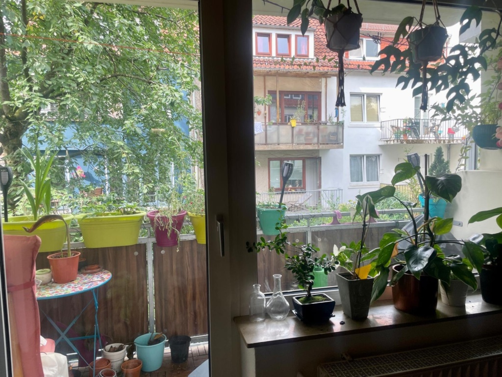 Kurzfristig frei geworden , durch Absage der neuem Mieter !3 Zimmer Wohnung zzgl. Apartment im Souterrain auch für 3-4 er WG geeignet Weidedammviertel in Bremen Findorff – Zwickauer Strasse 4, 28215 Bremen Findorff-Bürgerweide – Vorschaubild 8