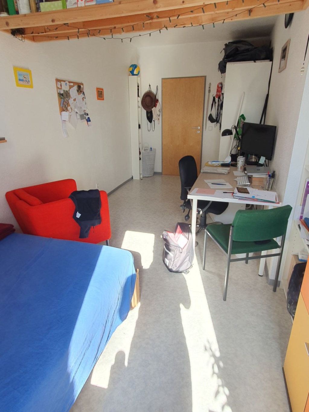 WG-Zimmer Pirnaische Vorstadt Blochmannstr. 11 - Bild 9