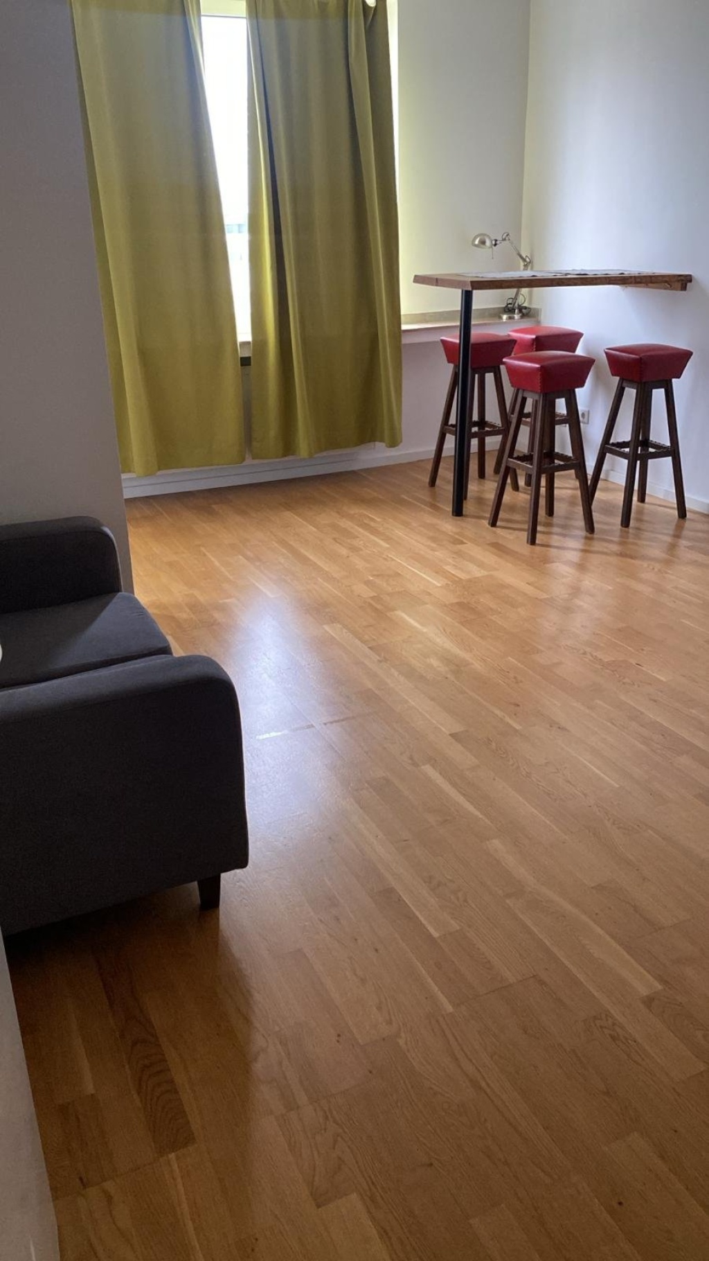 One Room Apartment (Furnished)