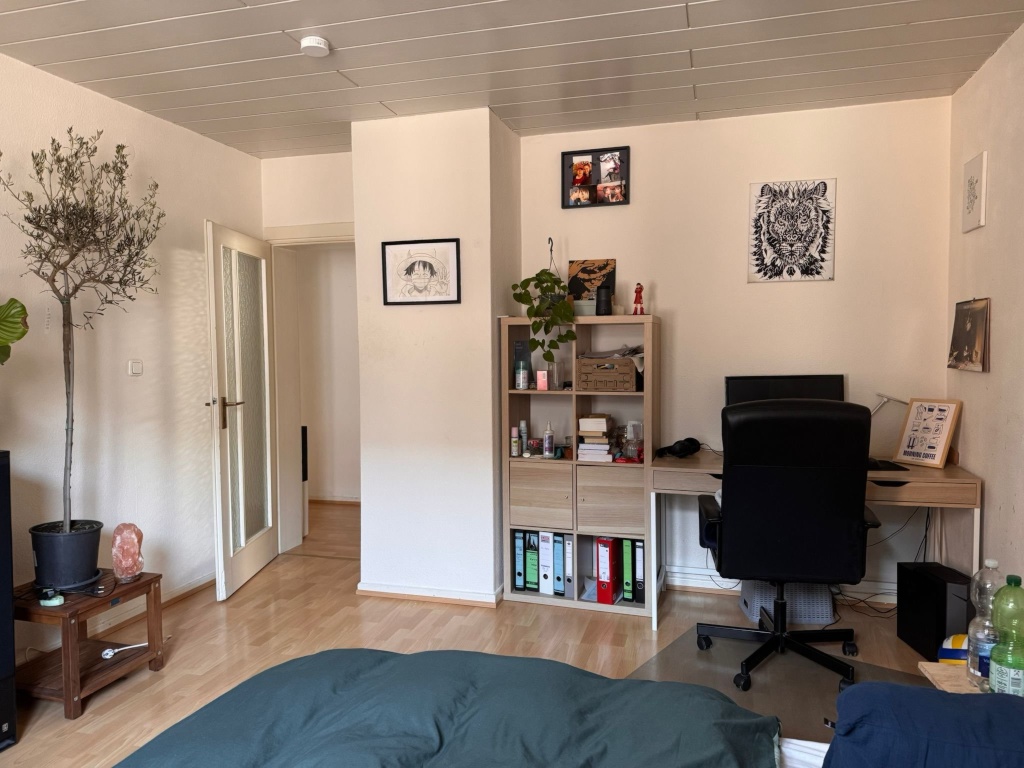Nachmieter gesucht! Komplette Wohnung ab September abzugeben in Mainz Innenstadt in bester Lage! (2 Schlafzimmer, 1 Ankleidezimmer, Küche, Bad, Flur) – Mittlere Bleiche, 55116 Mainz Altstadt – Vorschaubild 5