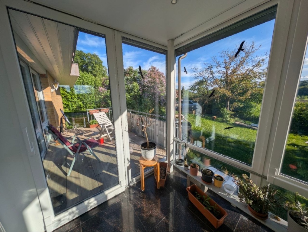 WG-Zimmer Wohlmuthshüll Bühler Straße 7 - Wintergarten