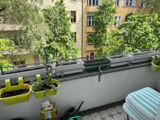 Anzeigenbild