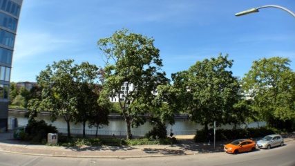 Anzeigenbild