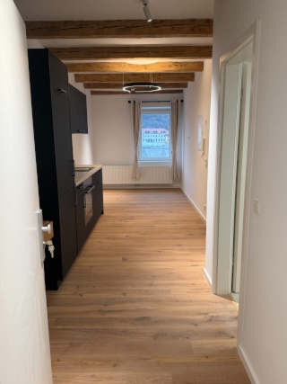 Anzeigenbild: Neu sanierte 1,5 Zimmer-Apartment - Möbliert - direkt im Zentrum