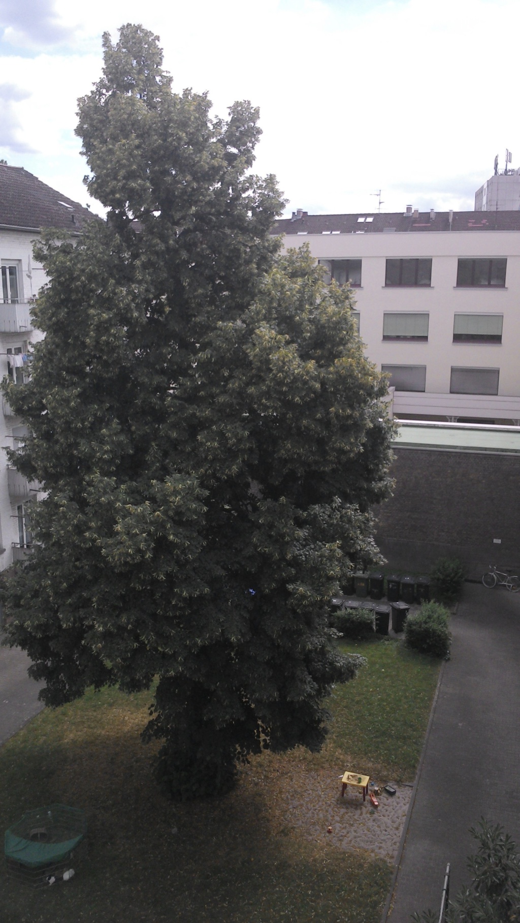 Apartamento Schwetzingerstadt Traitteurstraße - foto 8