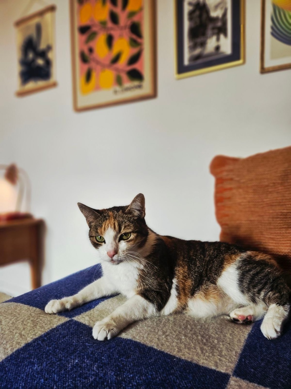 Flat Neukölln Eschersheimer Straße 17 - Frieda