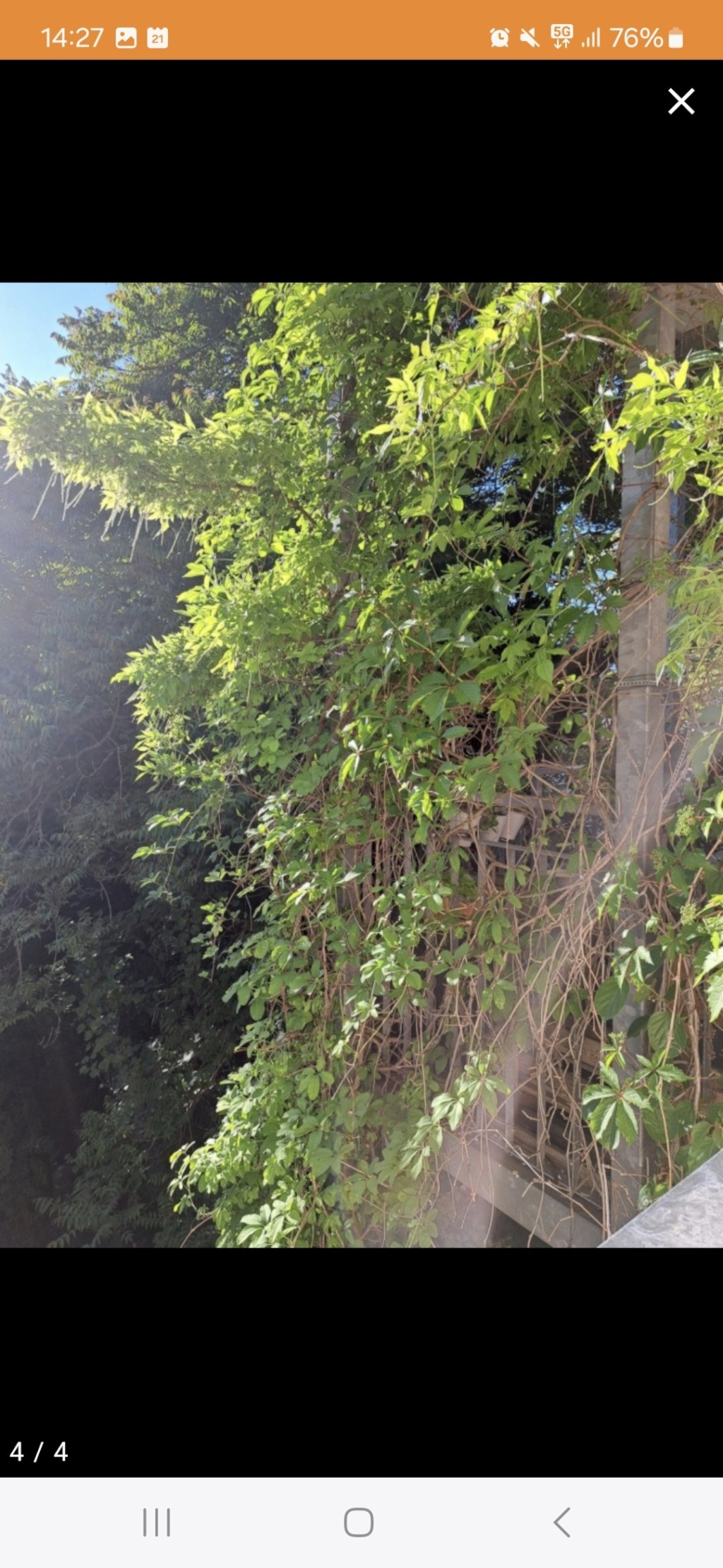 Wohnung Innenstadt Wilhelm-Staab-Straße  5 - Bild 3
