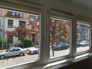 Anzeigenbild: Top-Lage Neustadt.Sehr großer, wunderschöne Zimmer mit einem Wintergarten, der so groß ist wie zwei Räume, mit Kamine.Anmeldung.
