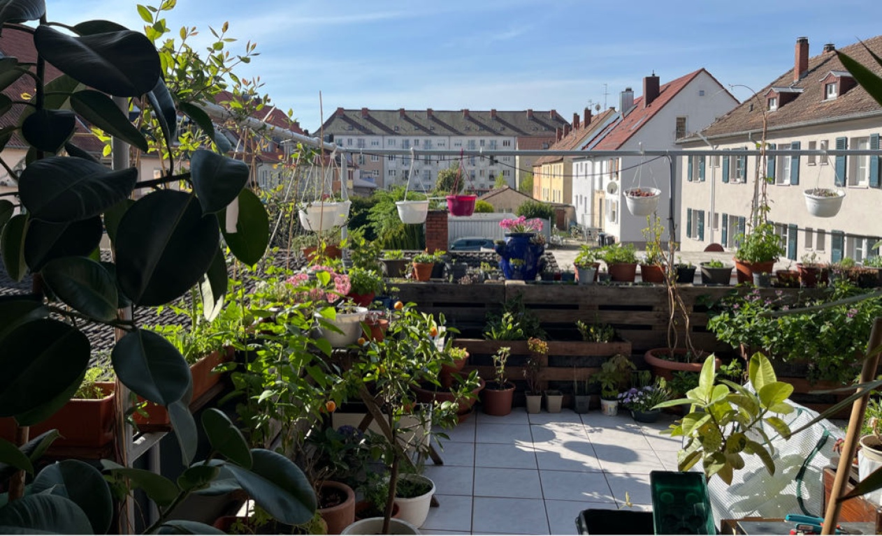 Flatshare landau Mozartstraße - picture 1