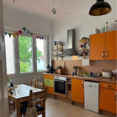 Imagen del anuncio: altbau wg zimmer mit terasse 1