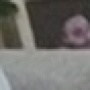 Mr Tsalamanis