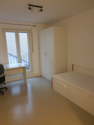 Ad image: Schönes möbliertes 1-Zimmer Studentenapartment - in der Stadtmitte (Mindestmietzeit 6 Monate)