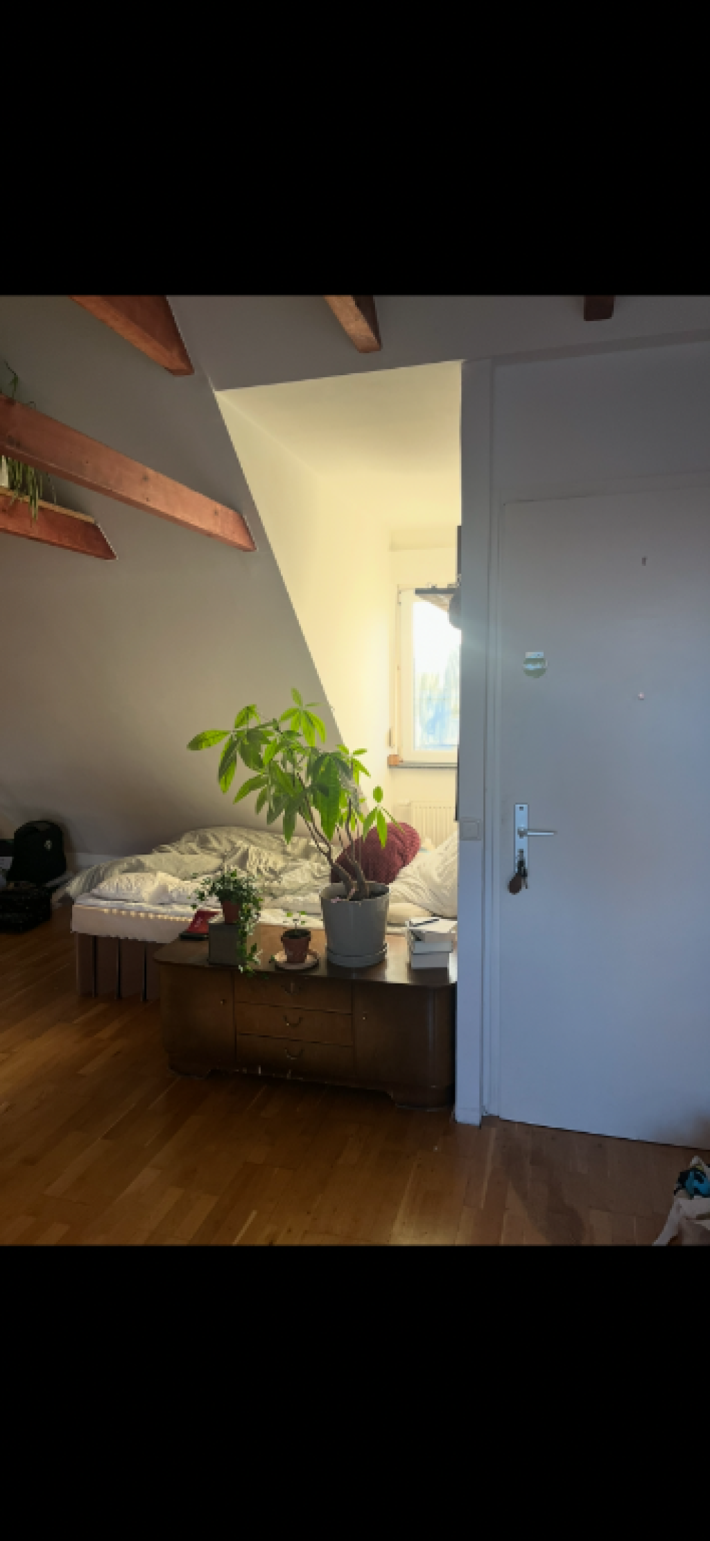 Gemütliche Altbau Wohnung in der Körnerstraße zur Zwischenmiete – Körnerstraße 21, 50823 Köln Ehrenfeld – Vorschaubild 7
