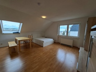 Anzeigenbild: 1-Zimmer-Wohnung in ruhiger Lage in Pfaffendorf - mit Kühlung