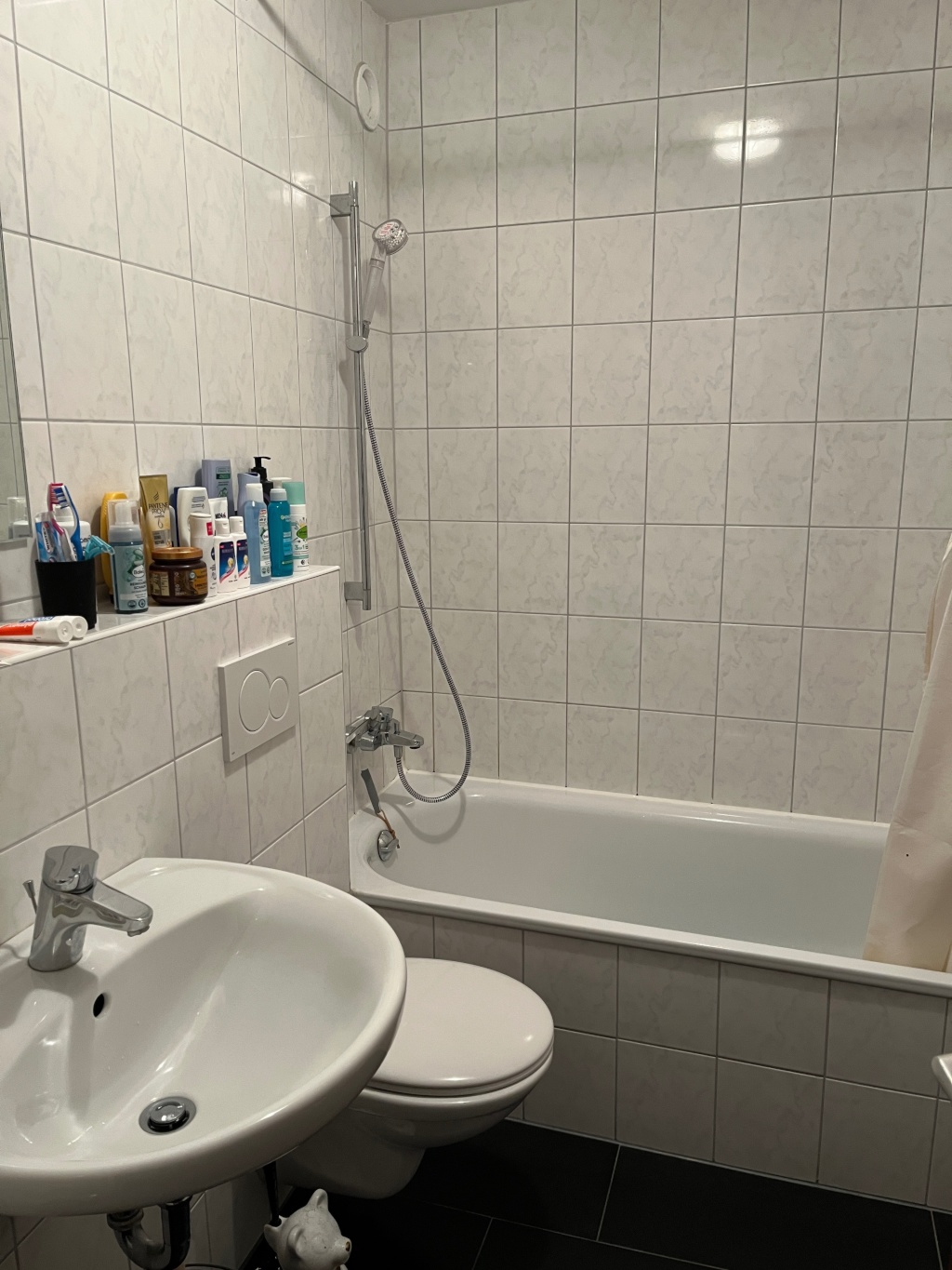 WG-Zimmer Alt-Erlangen Sankt Johann 6 - Badezimmer