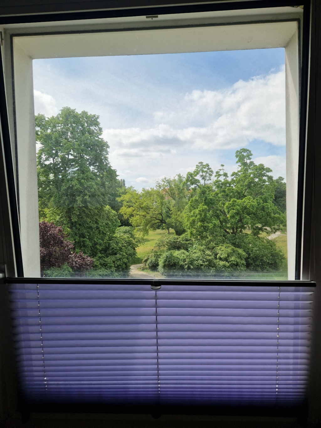 Flatshare Oberschöneweide Xy-Straße - picture 3