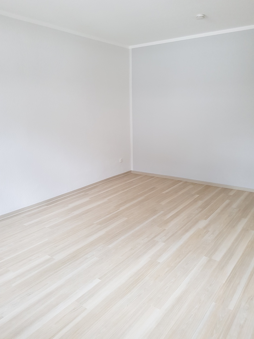 Schöne Wohnung in Trier Süd ab 01.08.26 – Saarstraße, 54290 Trier Trier – Vorschaubild 4