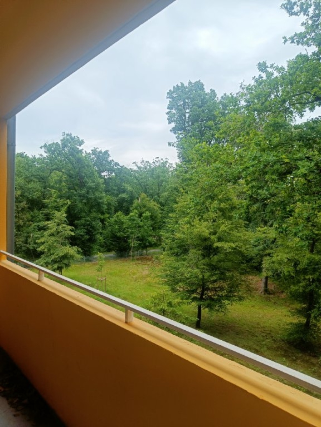 WG-Zimmer Karlsruhe Insterburger Str. 39A - Balcony