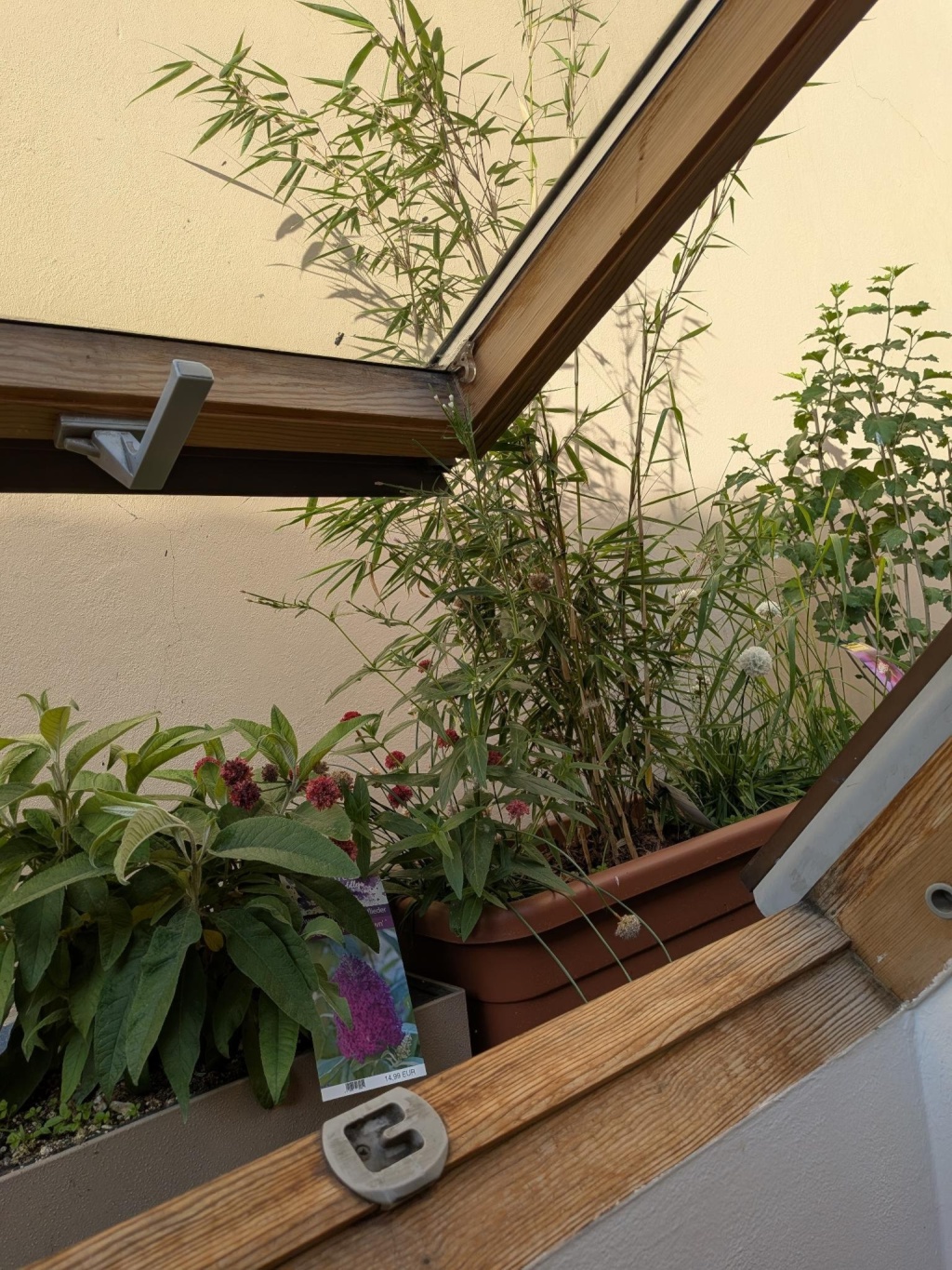 Wohnung Mitte Gipsstraße 08 - Bild 5