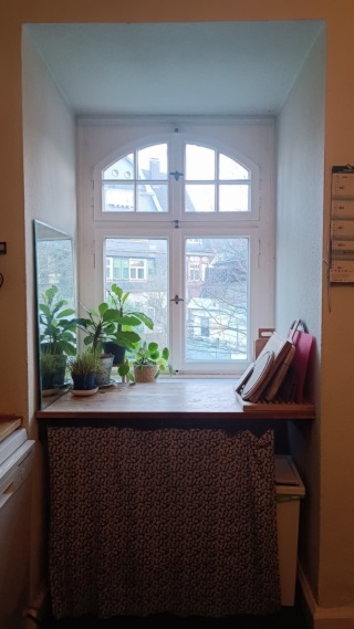 Anzeigenbild: Altbauzimmer im Zooviertel