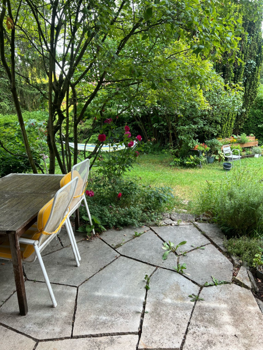 Flatshare West Gaußstr. 8C - Terrasse zur gemeinsamen Nutzung