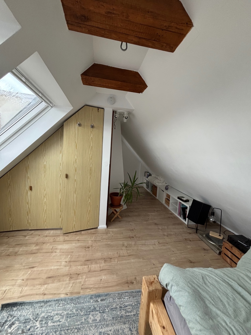 WG-Zimmer Innenstadt Harfenstr - Bild 2