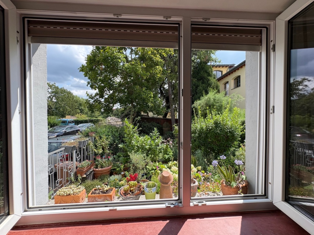 WG-Zimmer Büdesheim ruhige Seitenstraße im Ortskern von Bingen-Büdesheim - Blick in den Garten vom Esszimmer