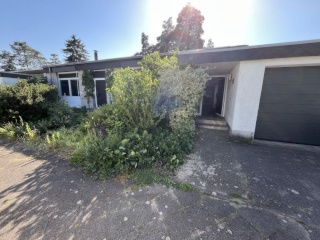 Ad image: Zimmer frei in der Waldstadt