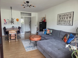 Anzeigenbild: Helle, großzügig geschnittene Wohnung