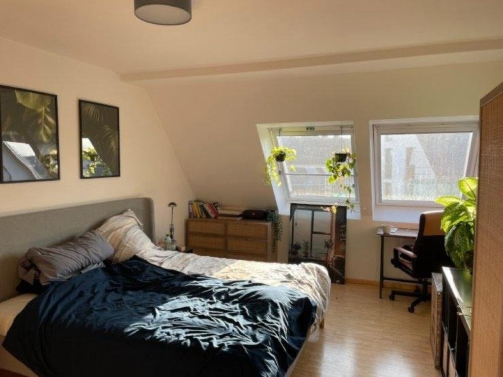 WG-Zimmer Neustadt-Nord Bismarckstraße - Bild 1