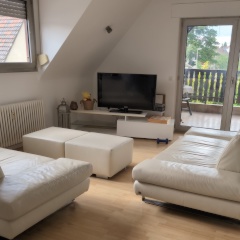 Anzeigenbild: Single Room available from July - Long Term/Short Term (with Anmeldung)