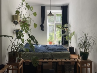 Anzeigenbild: 2 Zimmer in 4er WG