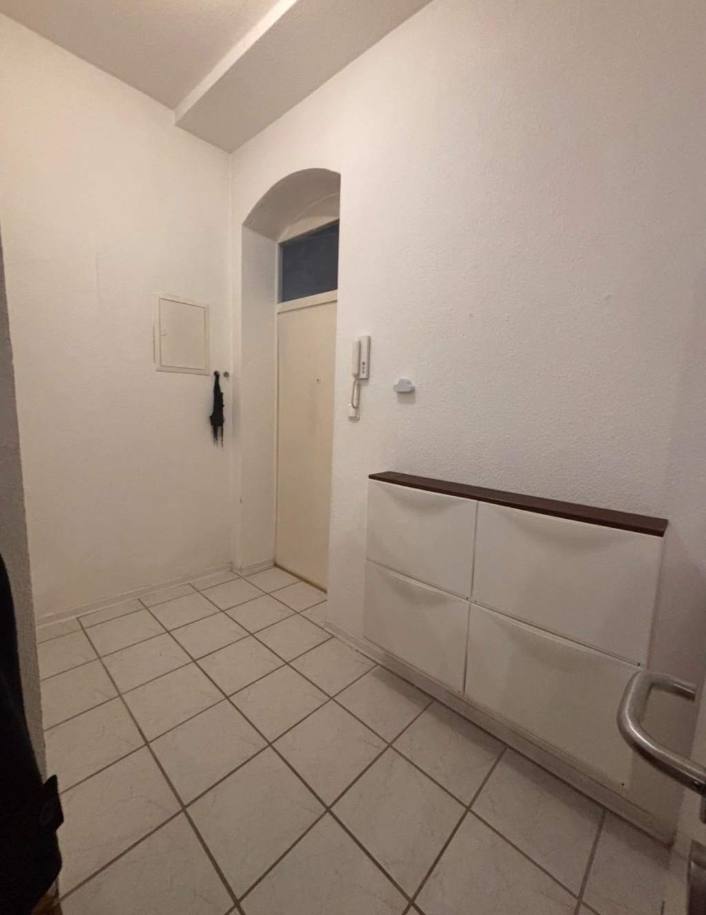 1 Room Flat Wiesbaden Hartingstraße - Eingangsbereich