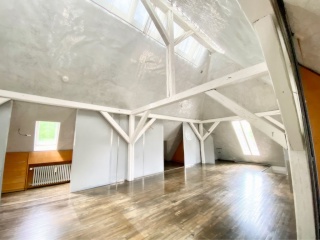 Ad image: außergewöhnliche Wohnung in der Wiehre