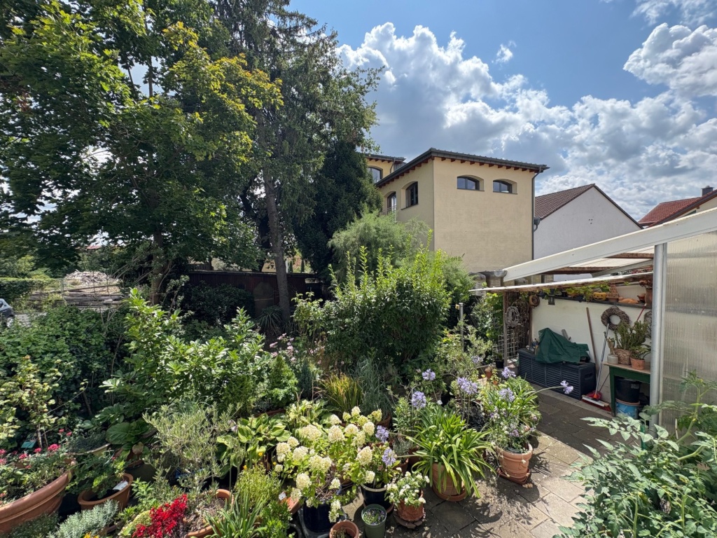 WG-Zimmer Büdesheim ruhige Seitenstraße im Ortskern von Bingen-Büdesheim - Garten