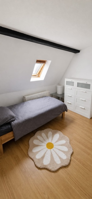 Ad image: möbliertes WG-Zimmer in Magdeburg MIT EIGENEM BAD