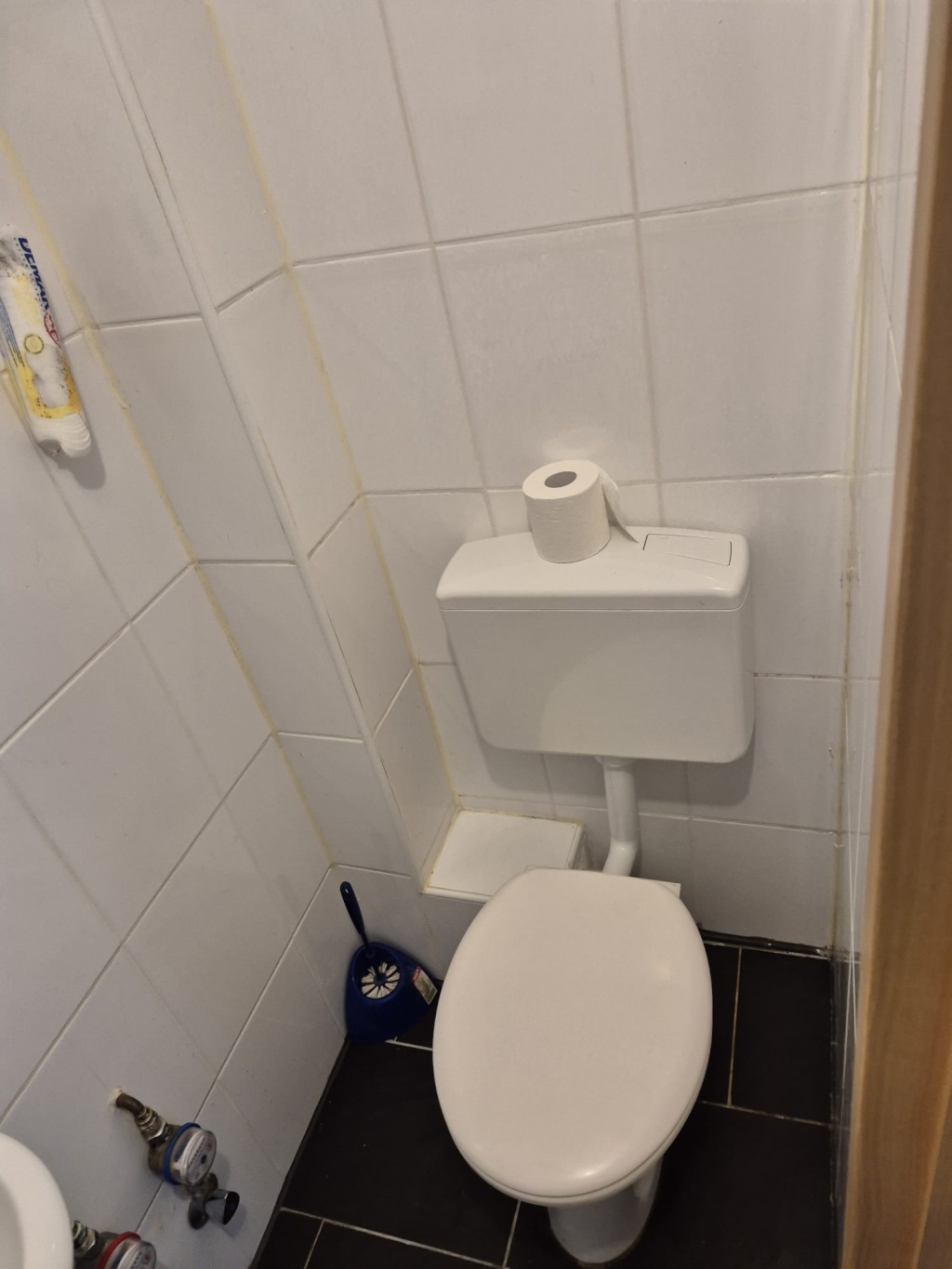 1-Zimmer-Wohnung Flughafen Im Grossen Ramsee  38 - Bild 4