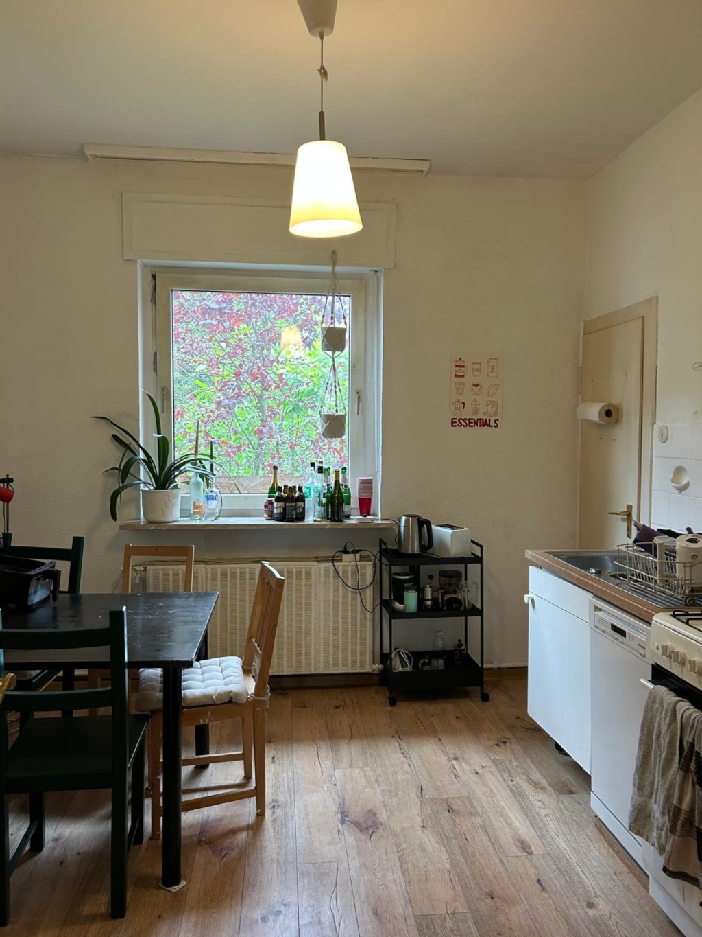 WG-Zimmer Centrum Peterstraße - Bild 1