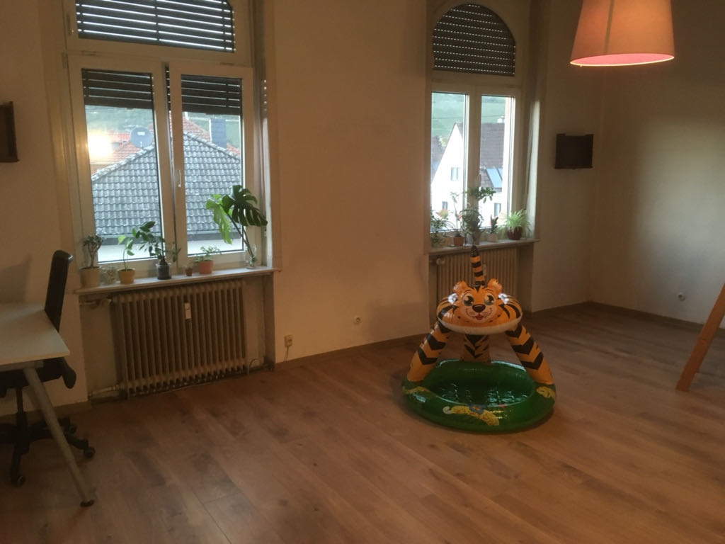 WG-Zimmer Bingen Hitchinstraße 36 - Zimmer 3, 27 m2
