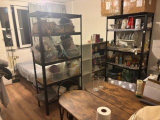 Ad image: Wohnungsangebot (Einzimmerwohnung / Apartment für 1 Person)