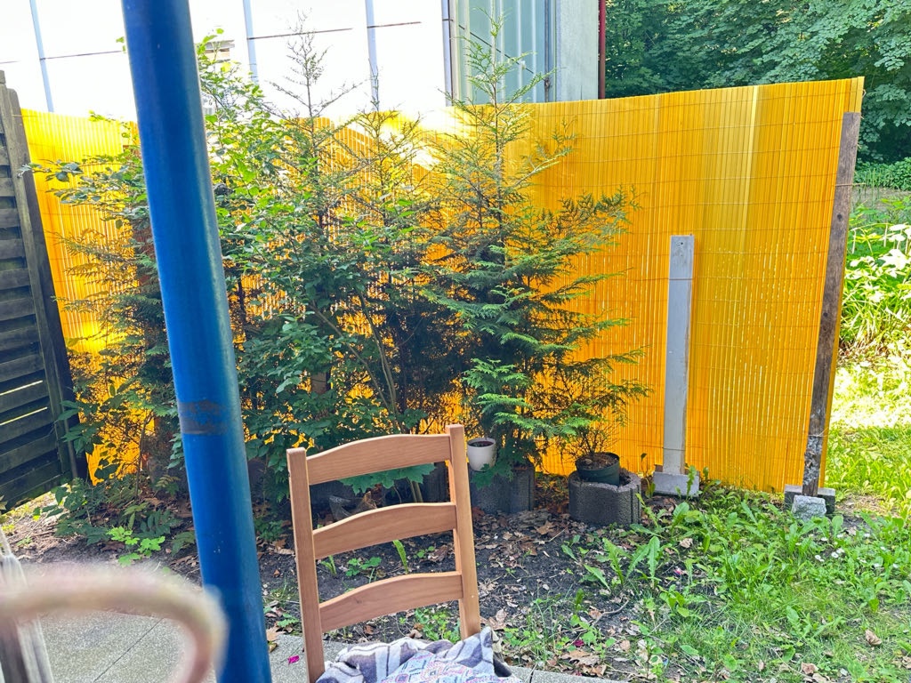 Flatshare Mahlsdorf Waldowstraße - picture 15