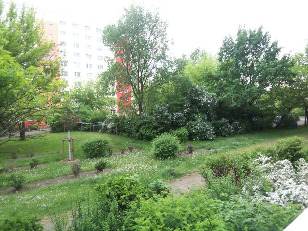 Marchwitzastraße, Berlin – Marchwitzastraße, 12681 Berlin Marzahn – Vorschaubild 5