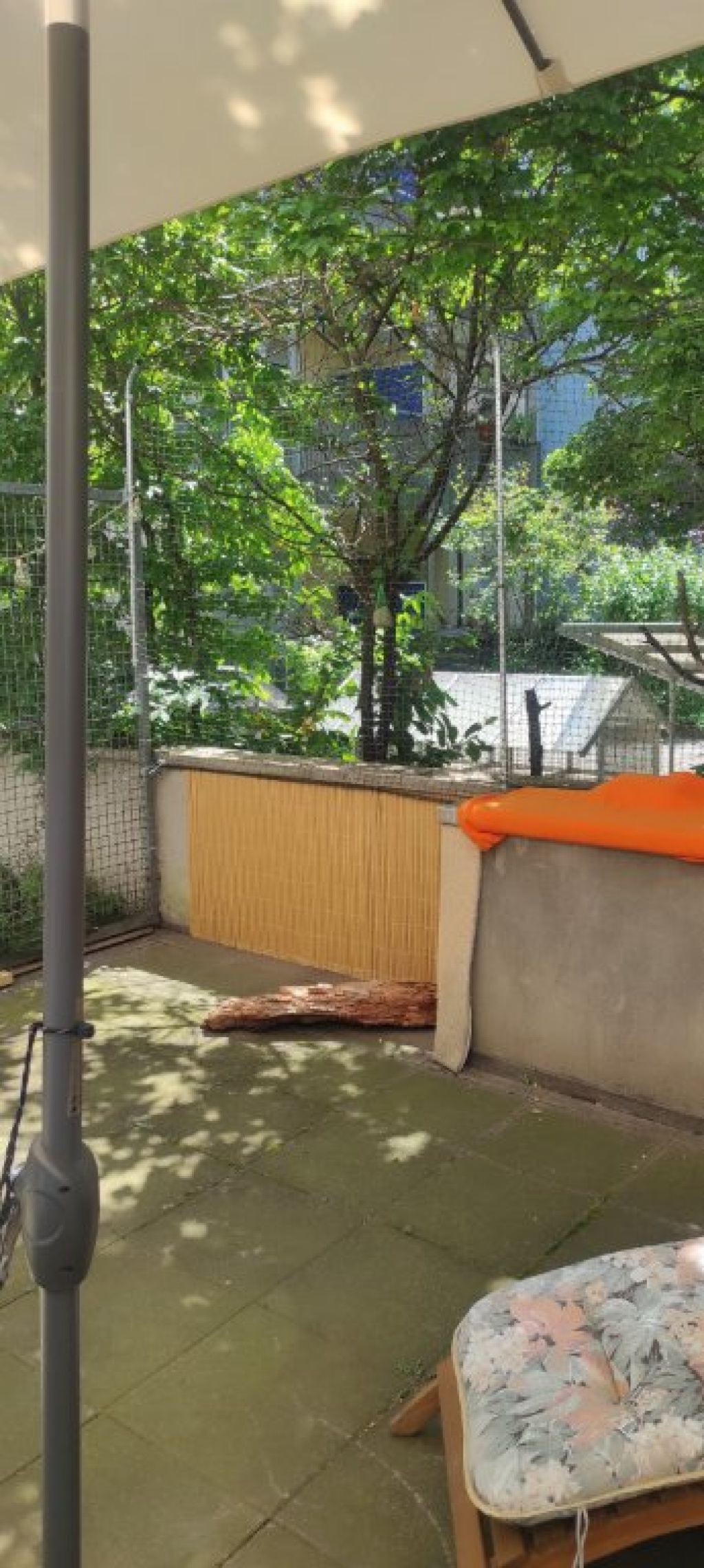 62 m2, möbliert, große Terrasse – Zwischenmiete ab 1.12. – Landgraf-Georg-Str. 66, 64283 Darmstadt Darmstadt – Vorschaubild 17
