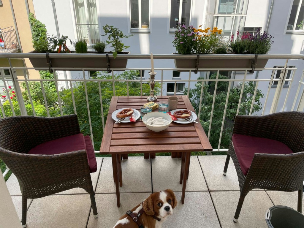Kollwitzstraße, Berlin – Kollwitzstraße, 10435 Berlin Prenzlauer Berg – Vorschaubild 6